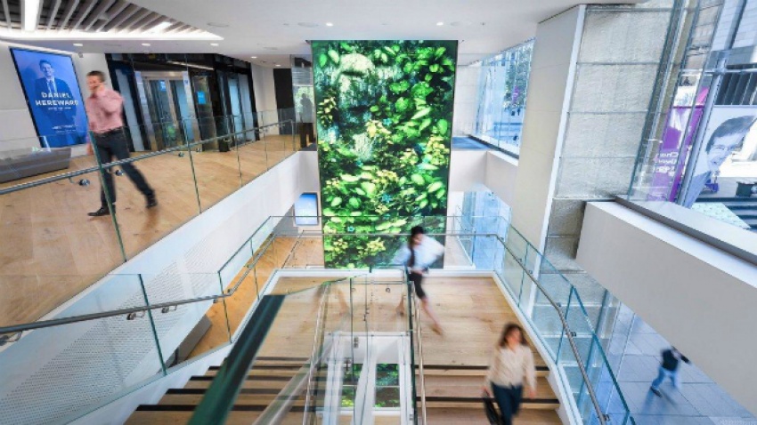 ANZ Flagship Branch