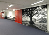 Canon Sydney